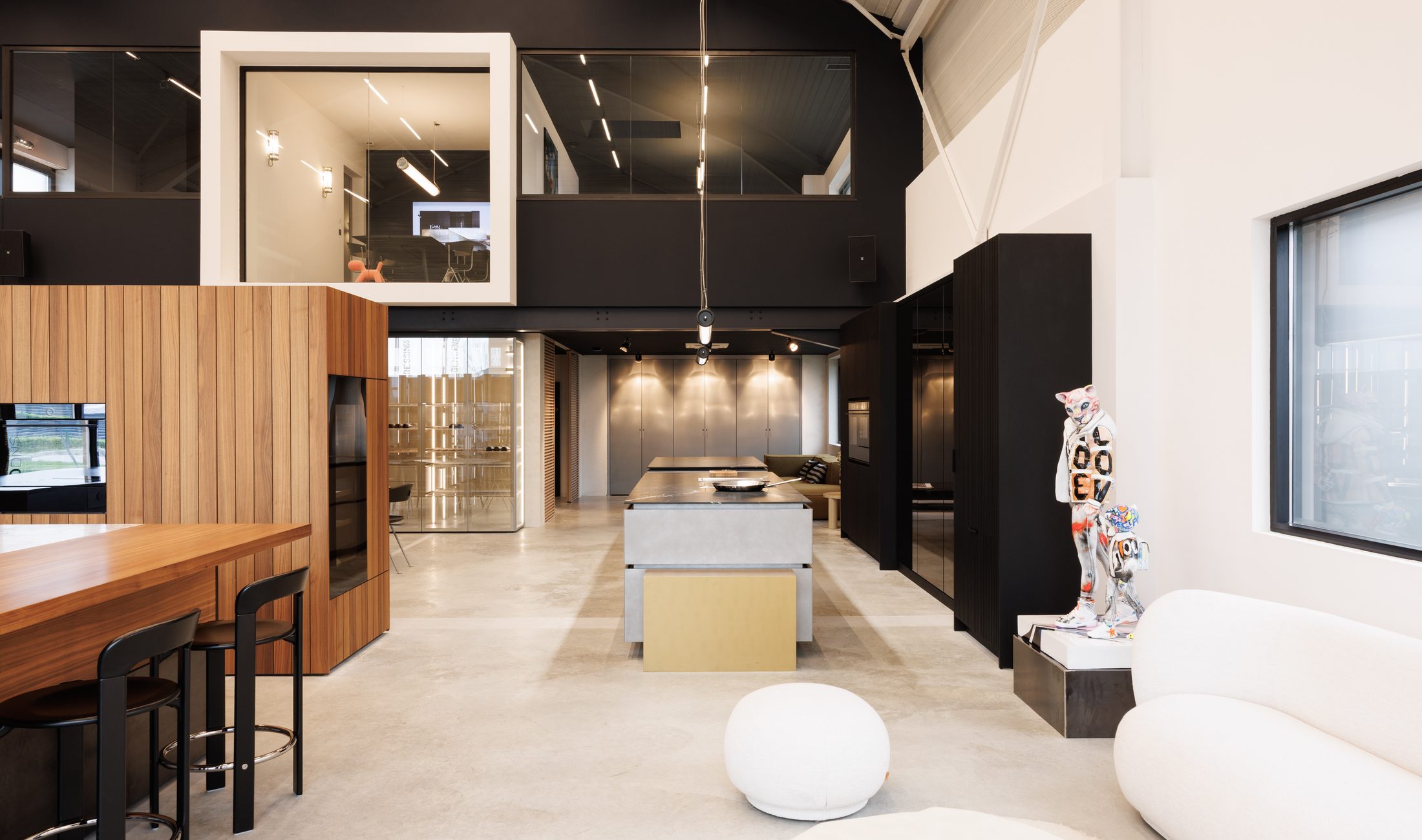 Showroom Studio DNS — Crach