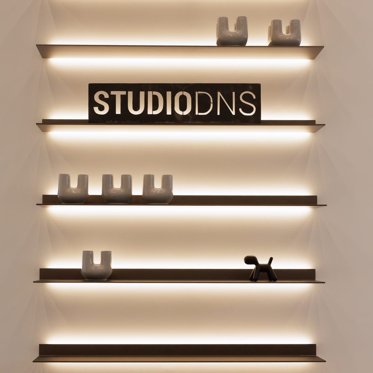 Studio DNS — atelier